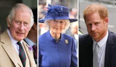 Princess Alexandra's Response to King Charles & Prince Harry's Feud