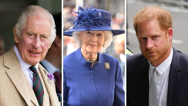 Princess Alexandra's Response to King Charles & Prince Harry's Feud