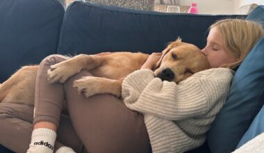 The search for Louie, the therapy dog missing in the Highlands