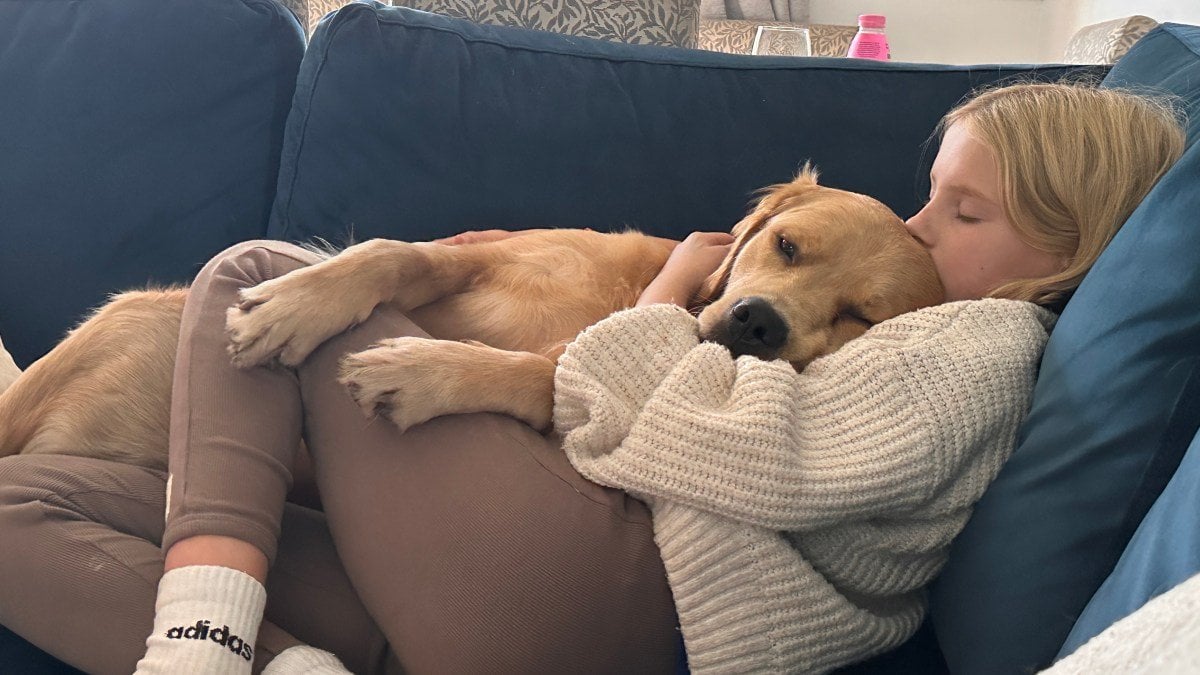 The search for Louie, the therapy dog missing in the Highlands