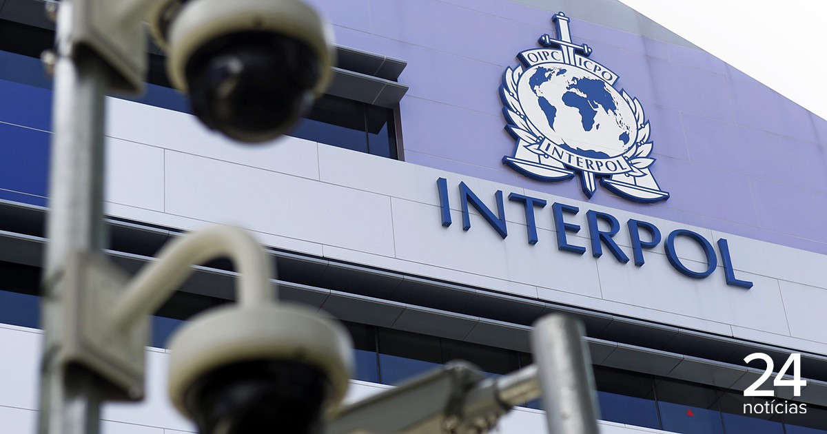 Portugal entre os países onde Interpol apreendeu 50,4 milhões de medicamentos ilícitos