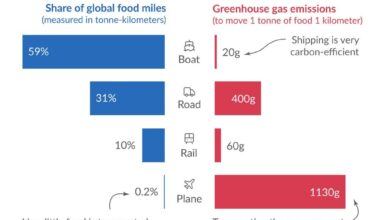 Most food is transported by boat, so food miles are a relatively small part of the carbon footprint of most diets