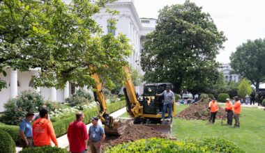 Donald Trump Bulldozes the White House Rose Garden