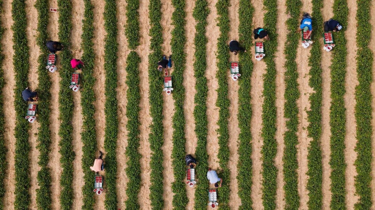 Forsa-Umfrage: Zwei Drittel der Deutschen befürworten 15 Euro Mindestlohn