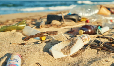 Litter on a beach -  © Maryshot/Shutterstock