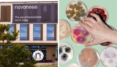 Dansk milliardbranche i opråb: EU kan skubbe os i armene på Trump