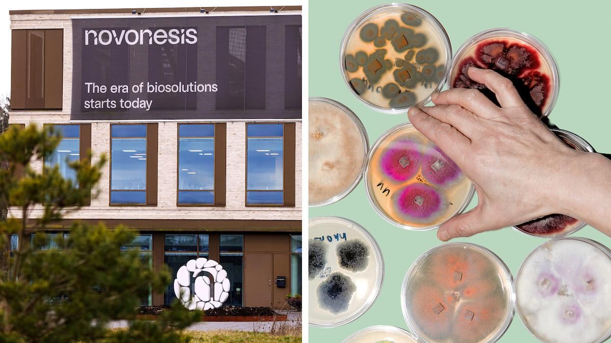 Dansk milliardbranche i opråb: EU kan skubbe os i armene på Trump