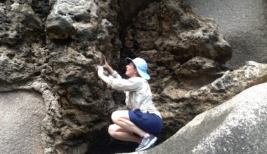Dutton crouches on a rock while observing the fossil corals exposed in a limestone outcrop.