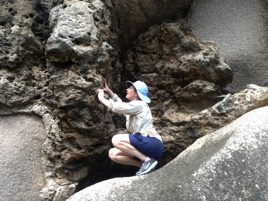 Dutton crouches on a rock while observing the fossil corals exposed in a limestone outcrop.