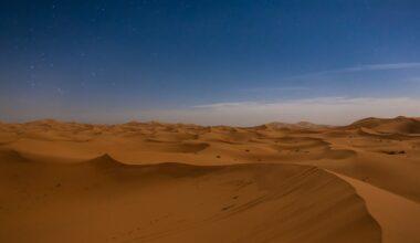New research casts doubt on ancient drying of northern Africa’s climate