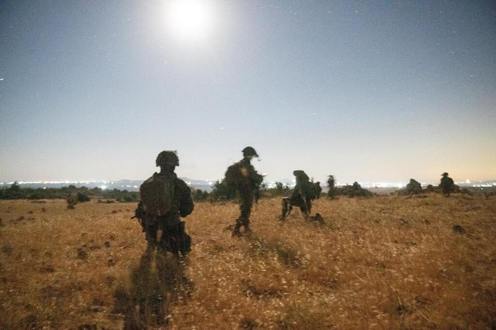 פעילות כוחות אוגדה 210 בדרום סוריה