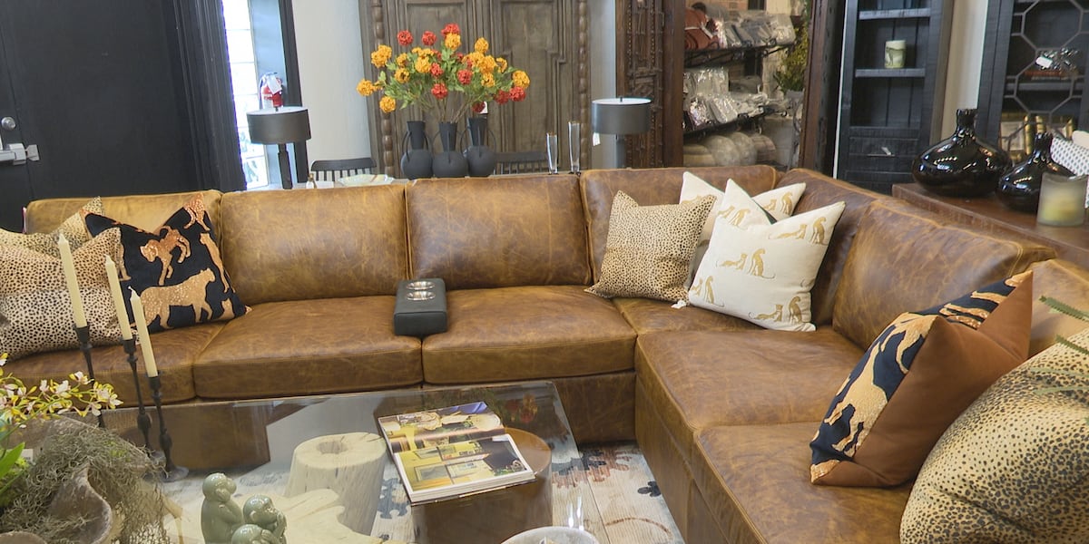 Elevate your living space at Furniture Source International