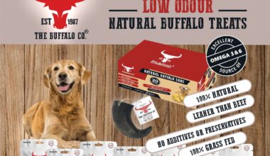 The Buffalo Co expands into Czechia