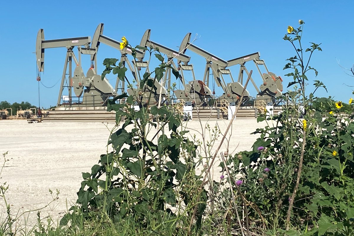 Tight oil production in Permian drives growth in onshore U.S. lower 48 states production