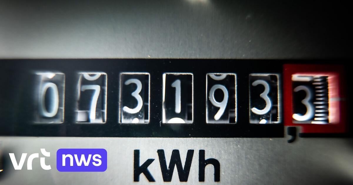 Fluvius topman zegt op 10 juni dat de nettarieven drastisch hoger moeten.  Regering zegt dat de stroomfactuur lager moet ...  wie wint?