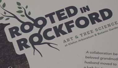 New outdoor exhibit at Klehm Arboretum combines science and art