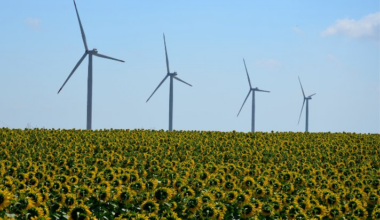 Moldova attracts 200 million euros following the first auction for renewable energy