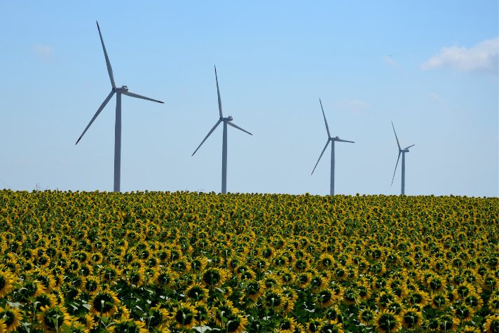 Moldova attracts 200 million euros following the first auction for renewable energy