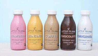 Plant-based ice cream company Little Island in liquidation