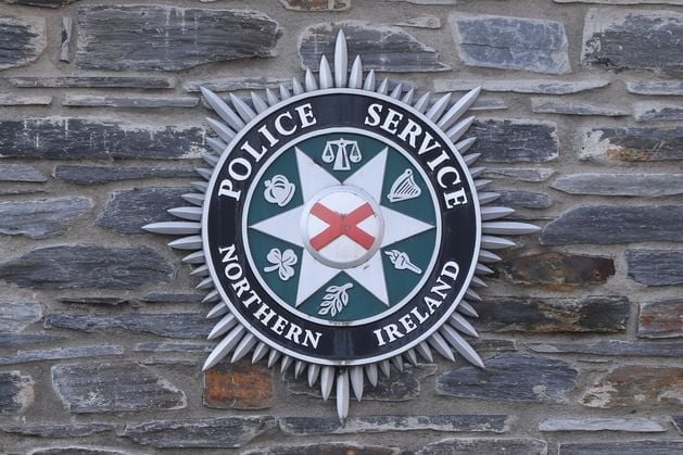 Four arrests after disorder at ‘Great March for Gaza’ protest in Co Armagh as police probe terror flag