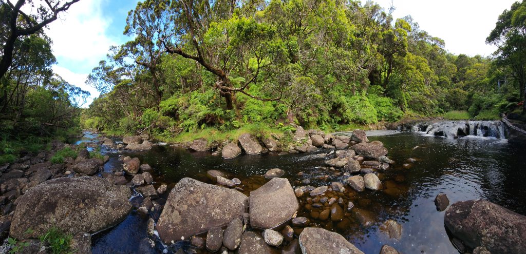 Kauaʻi conservation groups hope the money raised from Hawaiʻi's new "Green Fee" will go for environmental initiatives to protect places like Wainiha and not for tourist attractions. (File Photo Courtesy: The Nature Conservancy)
