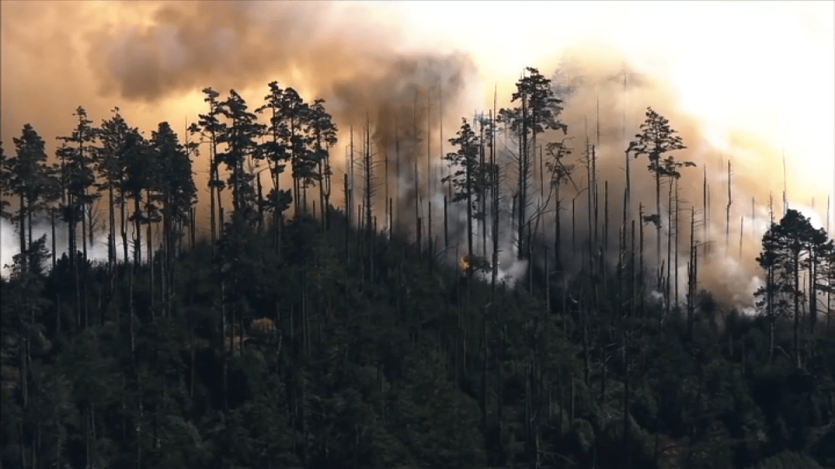 Why wildfire fuels matter more in a warming climate – NBC Bay Area