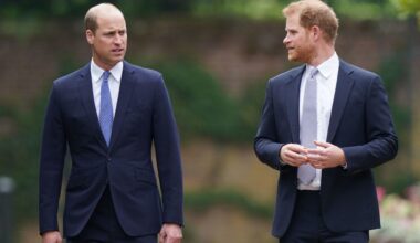 This Unexpected Reason Might Connect Estranged Brothers Prince William and Prince Harry