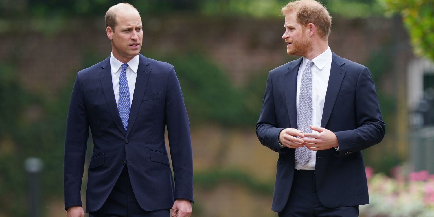 This Unexpected Reason Might Connect Estranged Brothers Prince William and Prince Harry