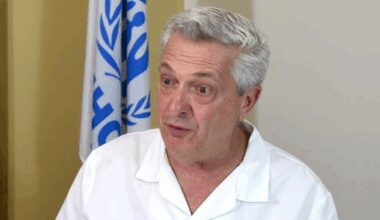 UN refugee chief sees "fragile" hope in Syria as 2 million displaced return-Xinhua