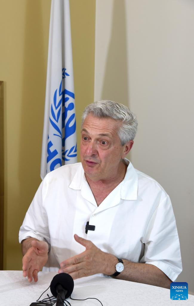 UN refugee chief sees "fragile" hope in Syria as 2 million displaced return-Xinhua