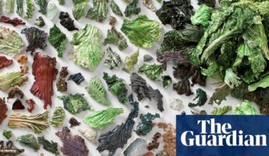 Fancy some iconic celeriac? New Nordic cuisine, now a blockbuster exhibition