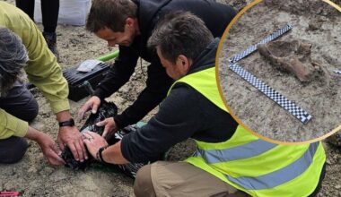 Ice-age ‘mammoth remains’ found during highway construction in Poland