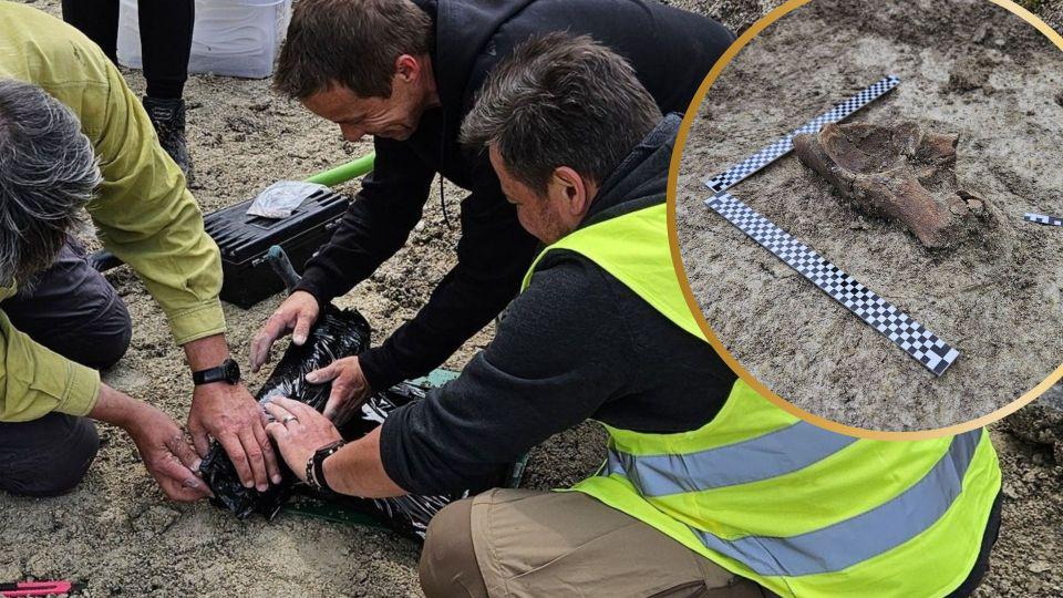 Ice-age ‘mammoth remains’ found during highway construction in Poland