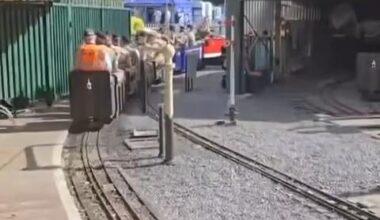 Meanwhile at the Royal Bath and West show