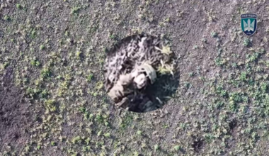 Verry Graphic. The consequences of flipping the bird at a Ukrainan drone crew.