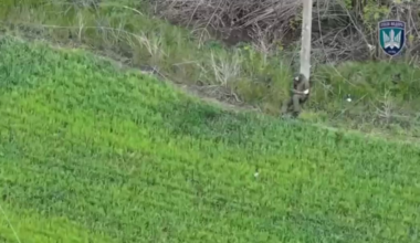 Lethal strike on a russian invader by Ukraine’s 'Birds of Magyar' drone team