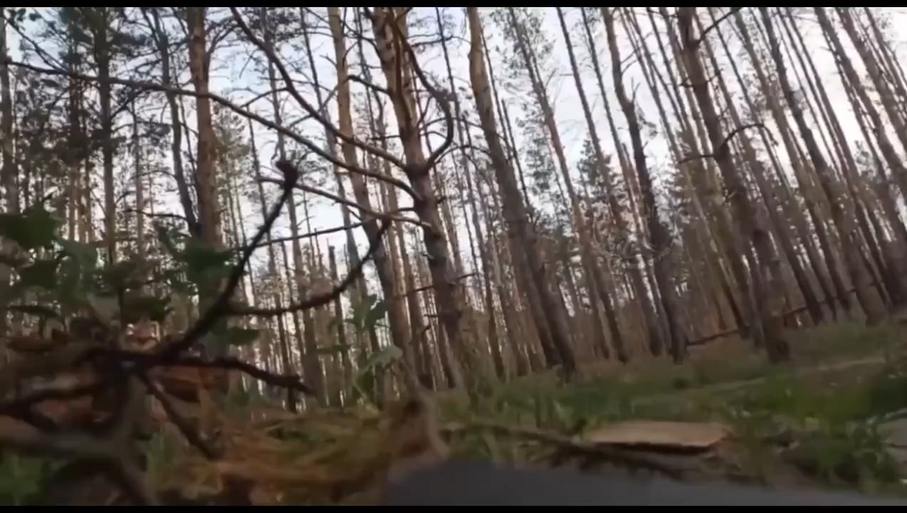 Russian soldiers ambushed and cut the fiber-optic cable of a Ukrainian FPV drone, disabling it.
