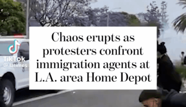 This is how civil wars begin. TACO Don has completely ruined America.