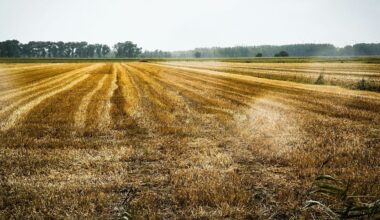 Climate change is set to shrink crop yields in top farming nations, raising global hunger risks