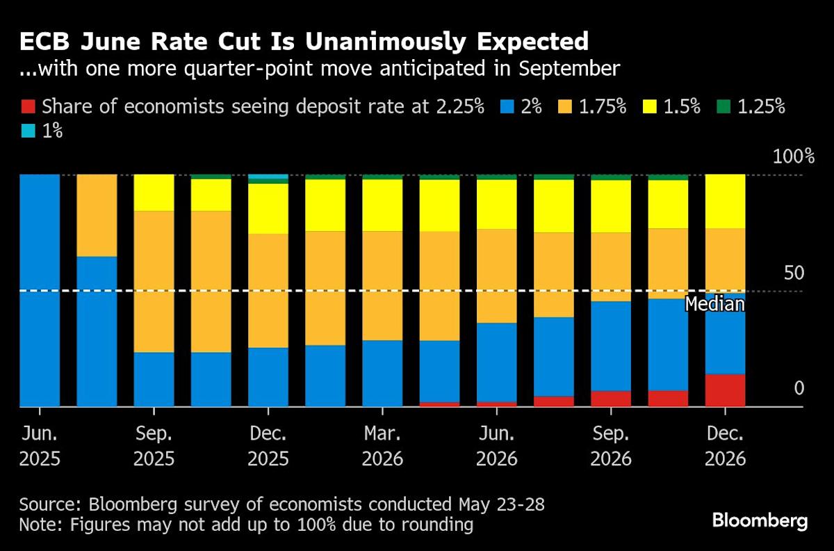 Economists Warn ECB to Avoid Delaying Over Last Two Rate Cuts
