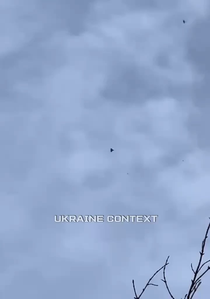 An anti-aircraft drone shot down a Shahed/Gerbera drone. June 2025.