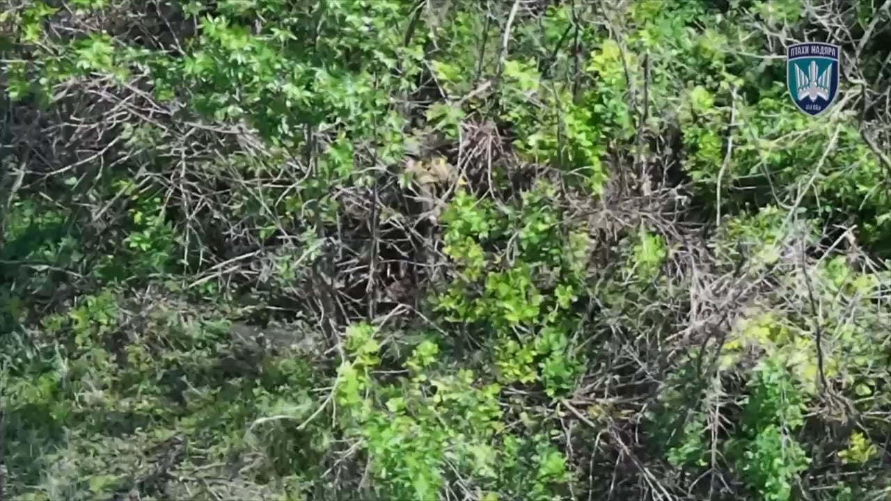 EXTREMELY GRAPHIC CONTENT: FPV strike on a russian soldier, which caused combust of ammunition and set him on fire