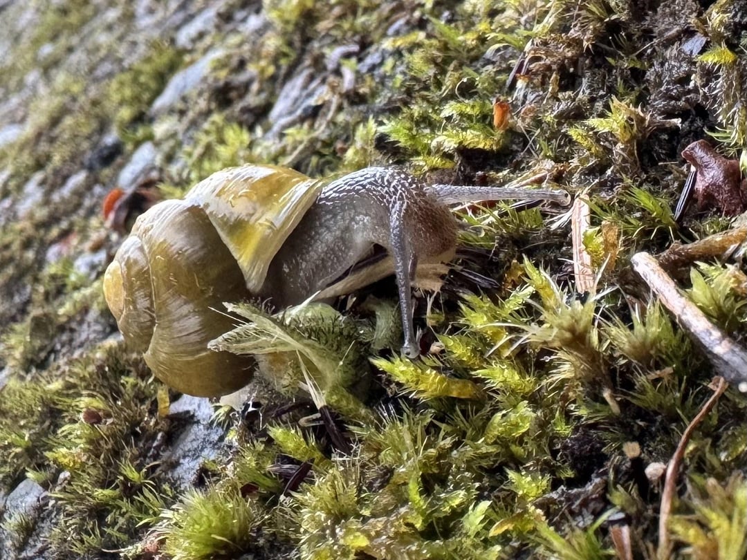 Some small friends from my trip