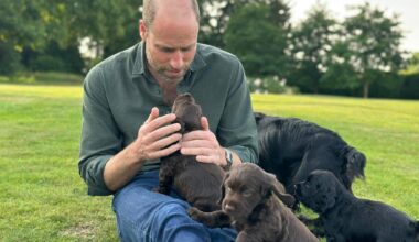 New photo for William's 43rd birthday