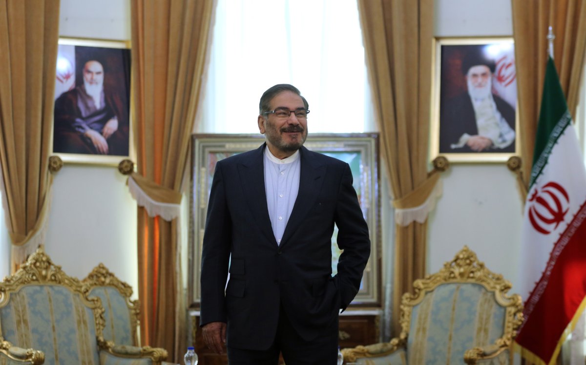 Ali Shamkhani, Iranian advisor