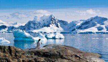 Neither dinosaurs nor glaciers - the amazing lost world emerging from Antarctic depths - prehistoric life that remained buried