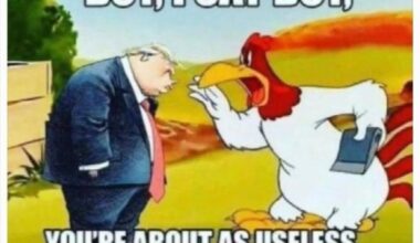 Foghorn Leghorn and add your jokes here!