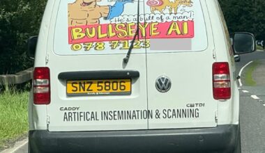 AI is even taken the Bull's job