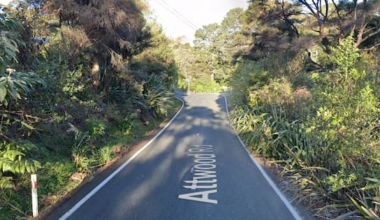 Man charged after two dog walkers injured in alleged hit-and-run
