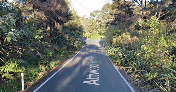Man charged after two dog walkers injured in alleged hit-and-run